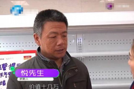 安定专业讨债公司有哪些核心服务？